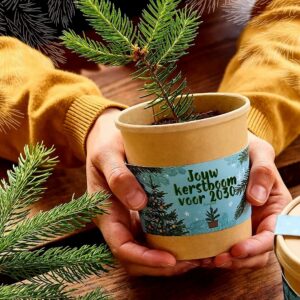 kerstboom om te kweken